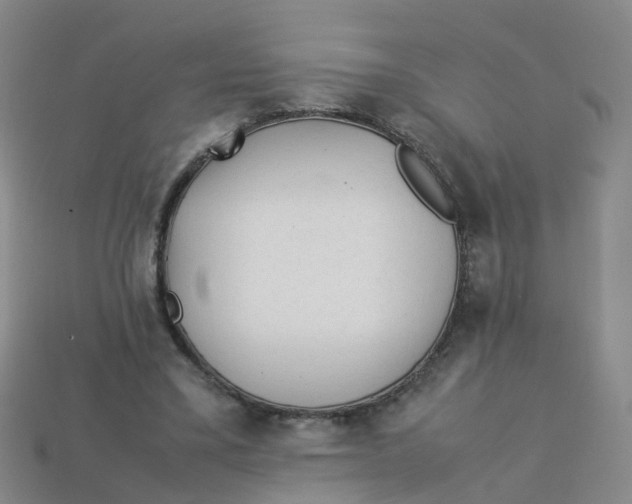 X0000113330395200910131153