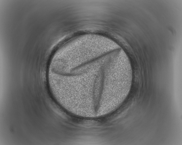 X0000113330399200910131153