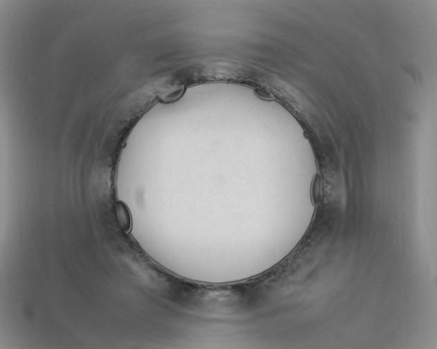 X0000113330401200910131153