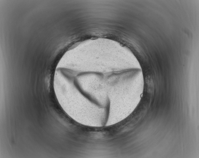 X0000113330404200910131153