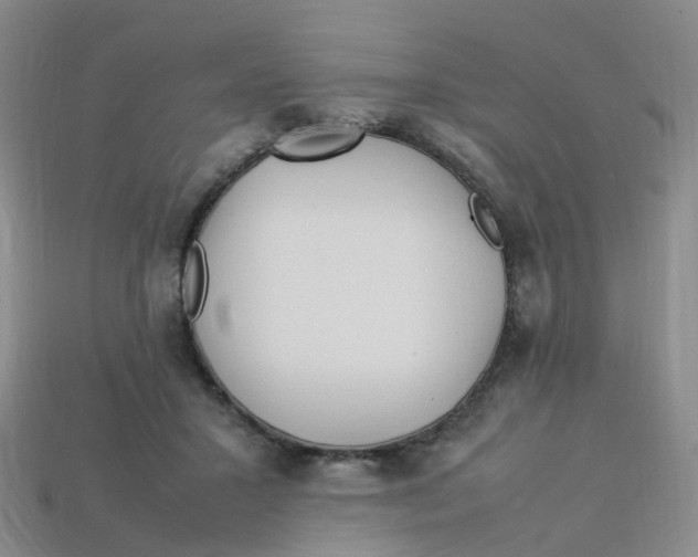 X0000113330407200910131153
