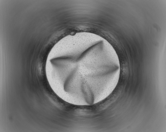 X0000113330408200910131153