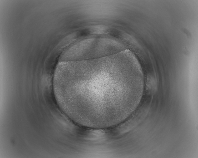 X0000113330409200910131152