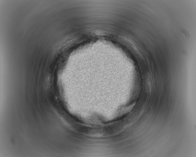 X0000113330410200910131152
