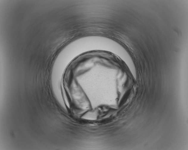 X0000113330411200910131152
