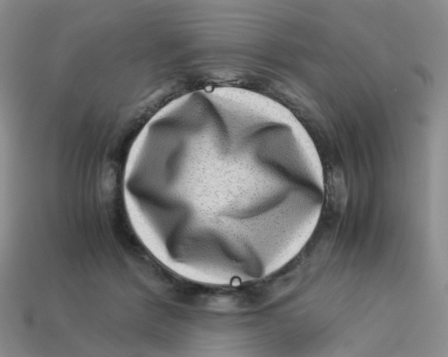 X0000113330412200910131152