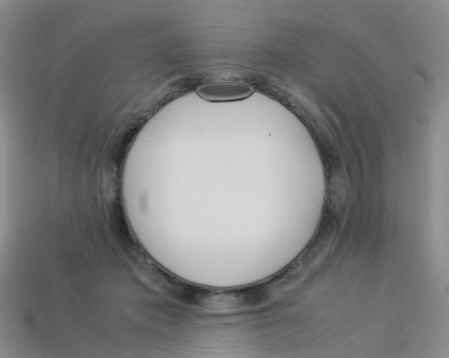 X0000113330413200910131152