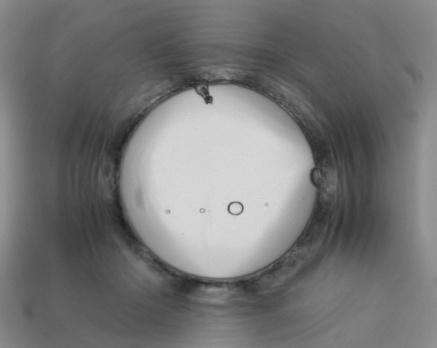 X0000113330414200910131152