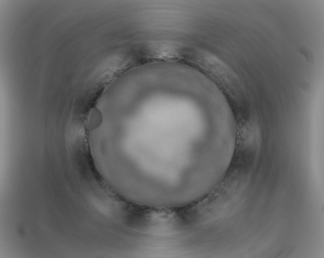 X0000113330415200910131152