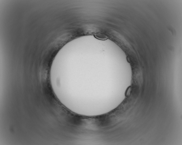 X0000113330417200910131152