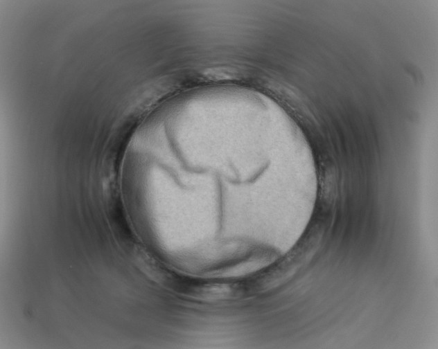 X0000113330418200910131152