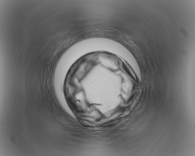 X0000113330419200910131152