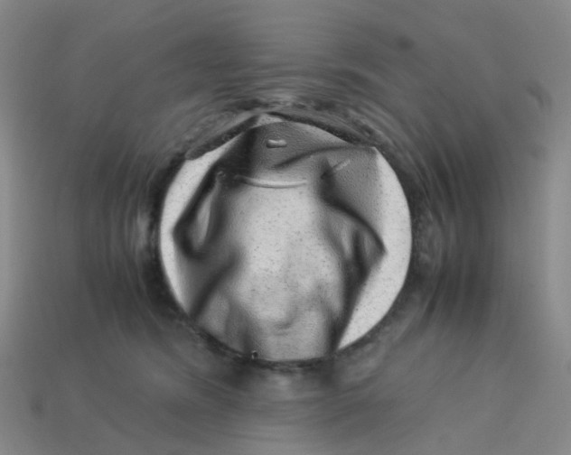 X0000113330420200910131152