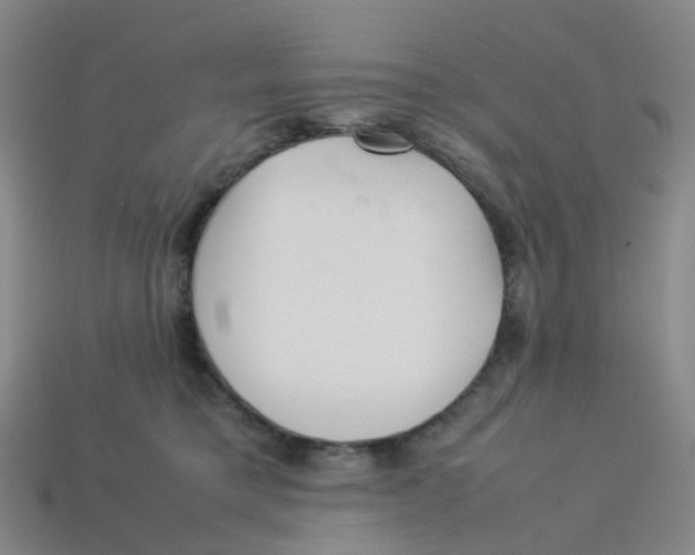 X0000113330421200910131152