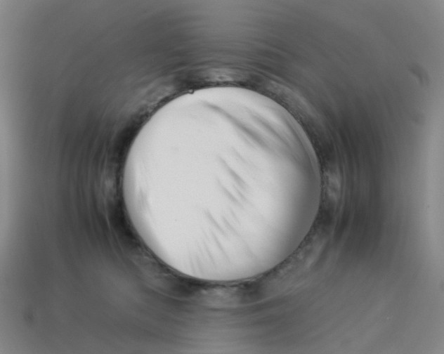 X0000113330422200910131152