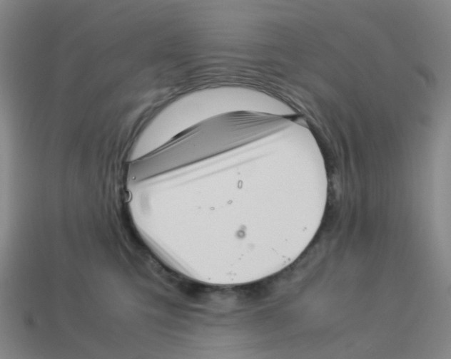 X0000113330423200910131152