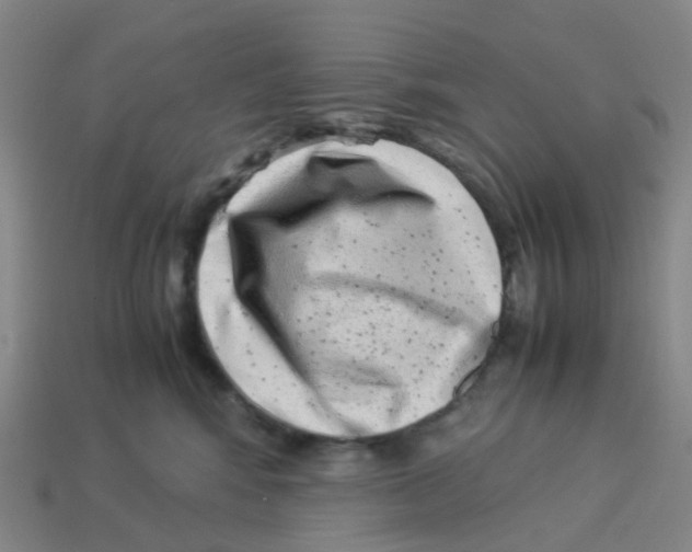 X0000113330424200910131152