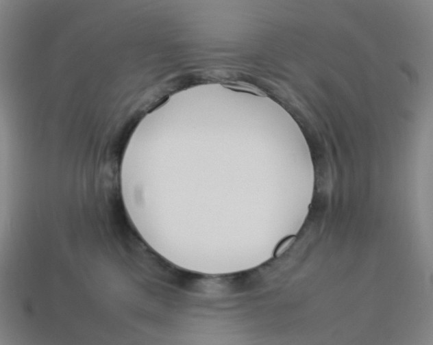 X0000113330425200910131152