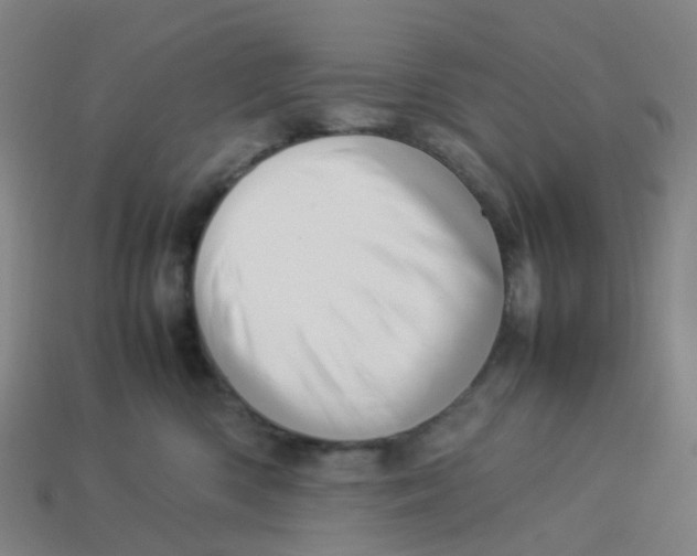X0000113330426200910131152