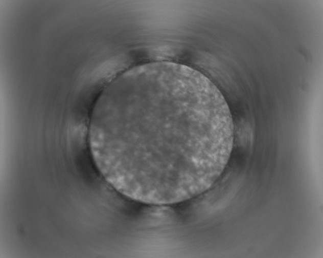X0000113330427200910131152