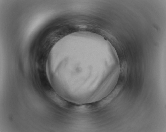X0000113330430200910131152