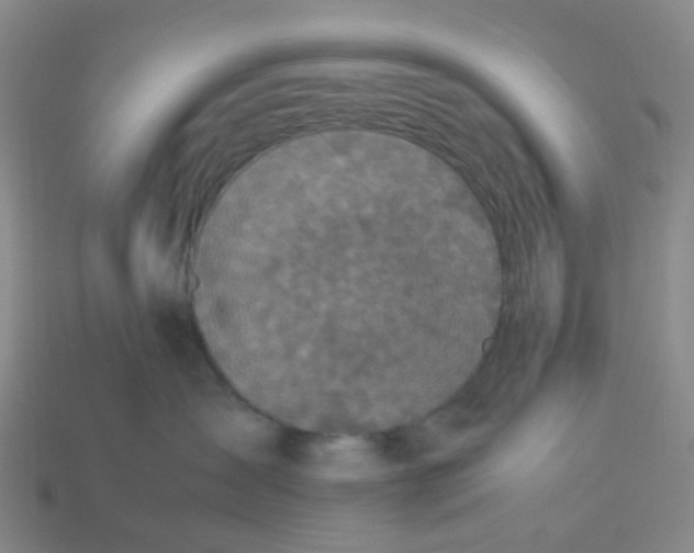 X0000113330431200910131152