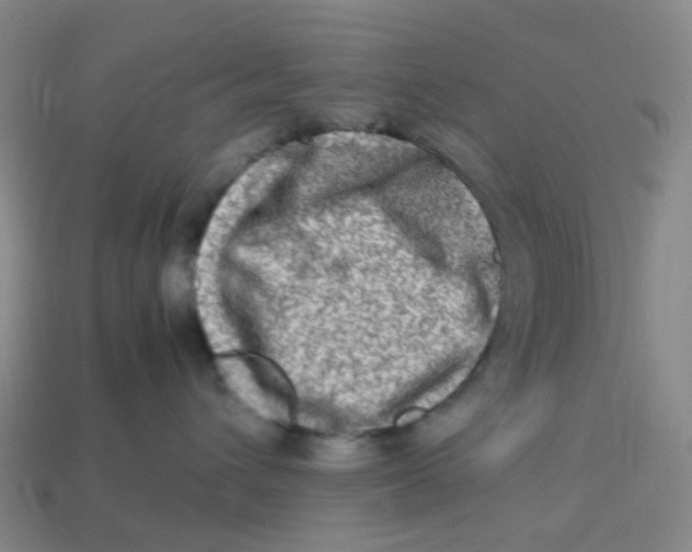X0000113330432200910131152