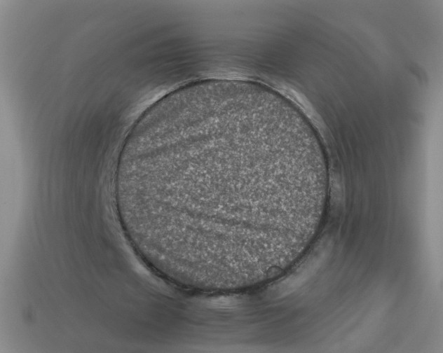 X0000113330433200910131152