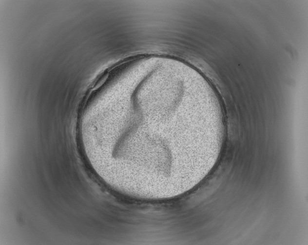 X0000113330434200910131152