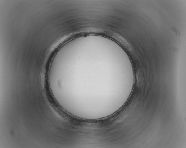 X0000113330436200910131152