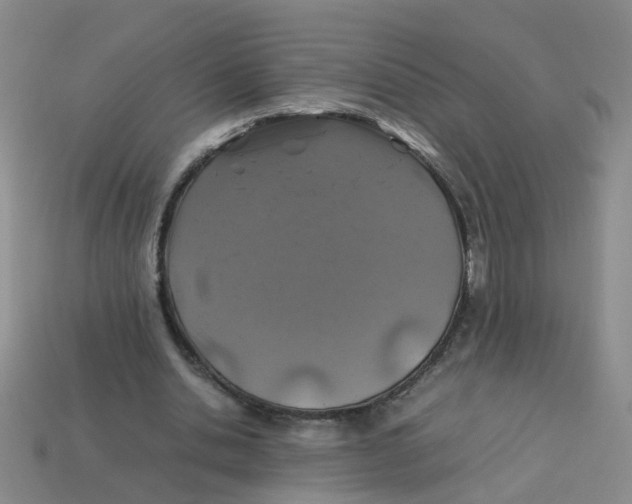 X0000113330438200910131152