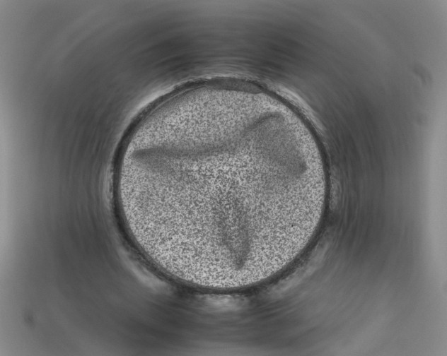 X0000113330439200910131152