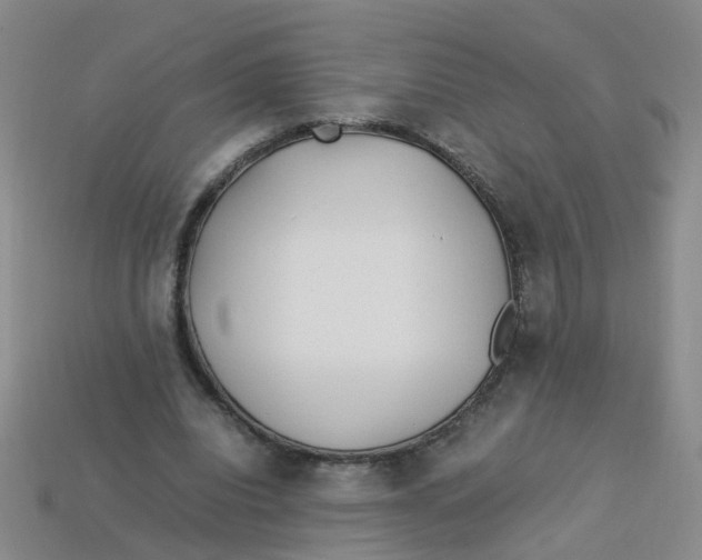 X0000113330440200910131152
