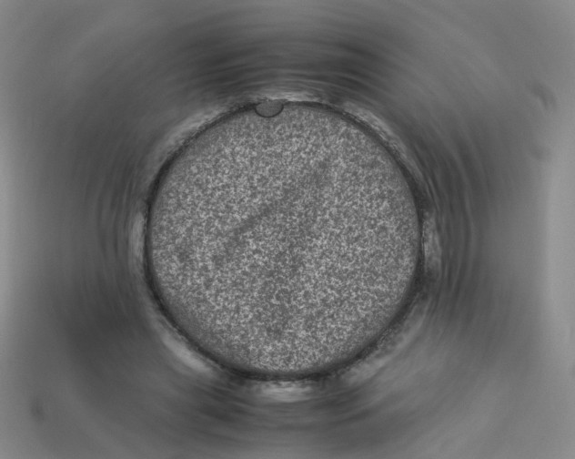 X0000113330445200910131152