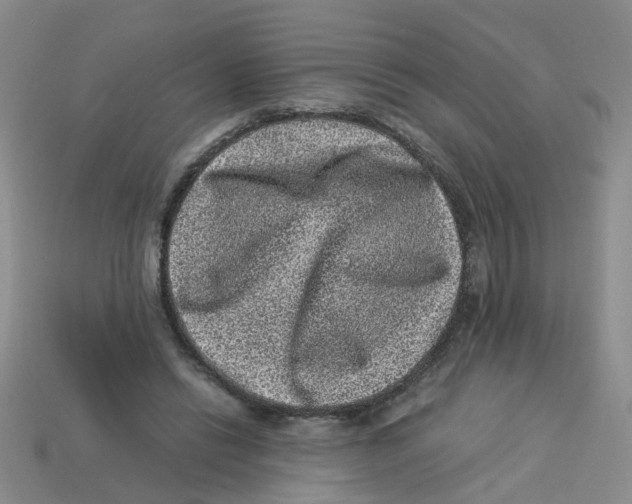 X0000113330446200910131152