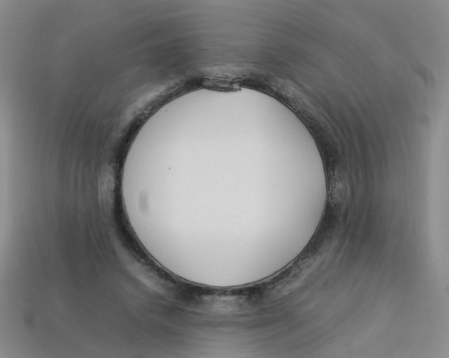 X0000113330448200910131152
