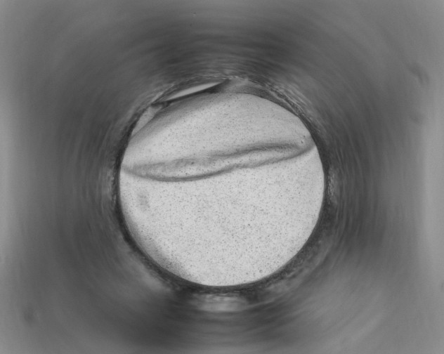 X0000113330449200910131152