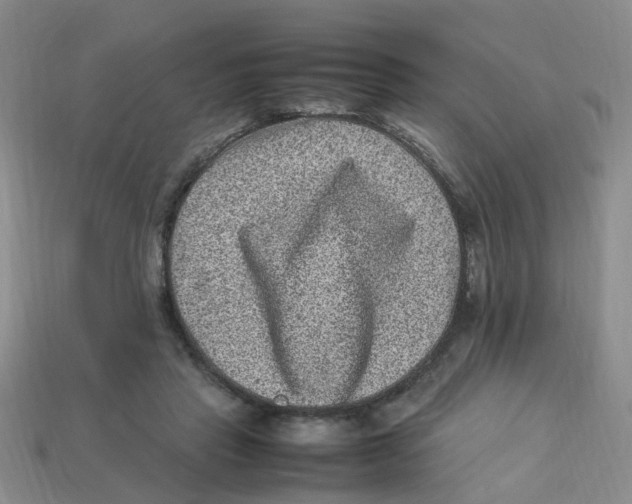 X0000113330453200910131152