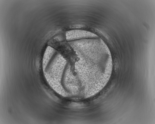 X0000113330455200910131152