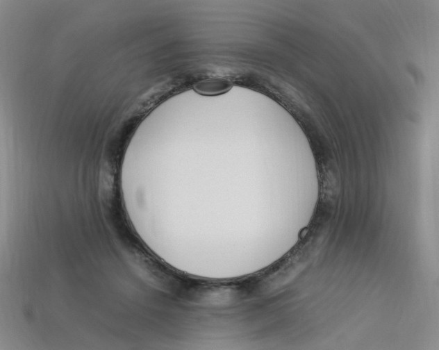 X0000113330456200910131152