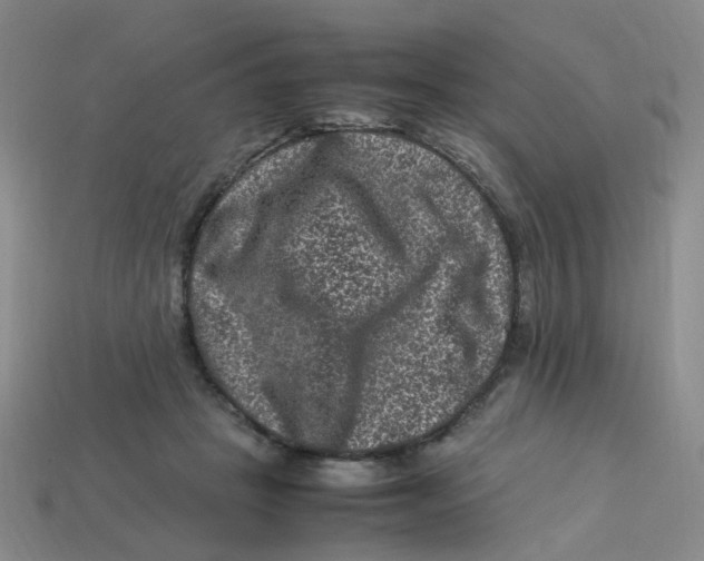 X0000113330457200910131152