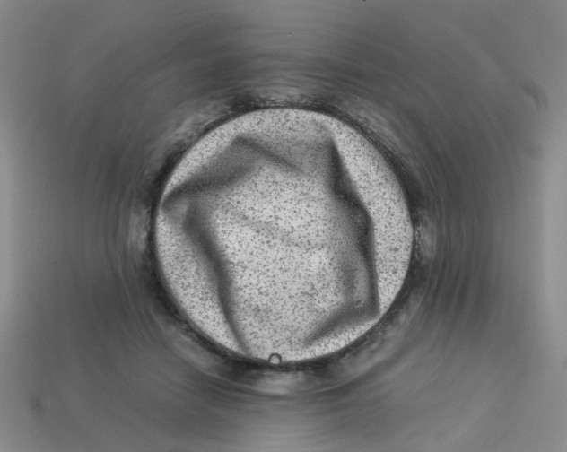 X0000113330458200910131152