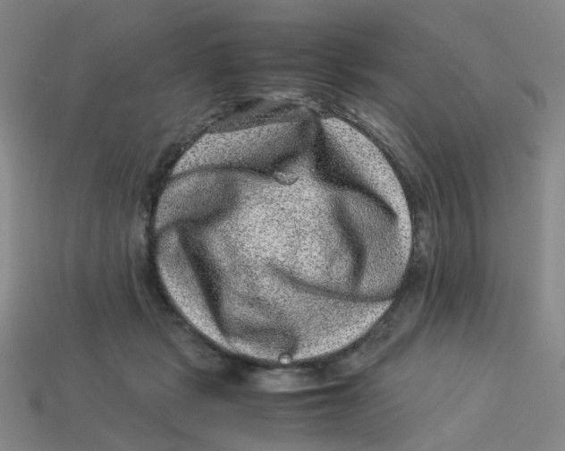 X0000113330461200910131152