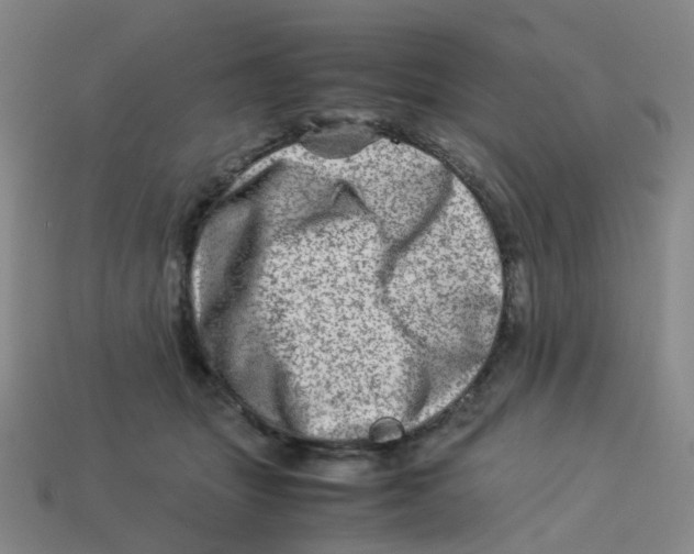 X0000113330463200910131152