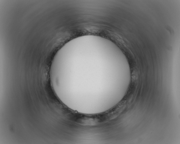 X0000113330464200910131152