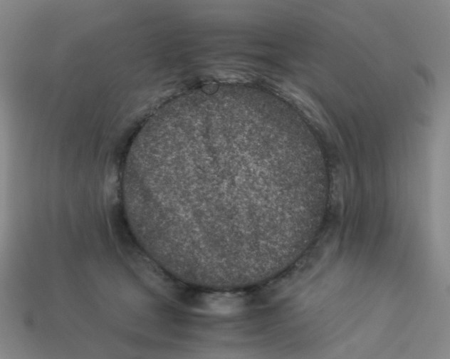 X0000113330465200910131152