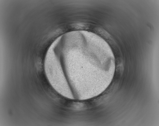 X0000113330469200910131152