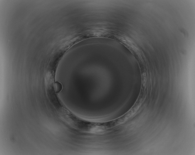 X0000113330471200910131152