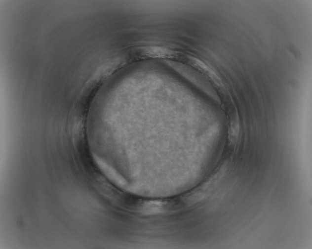X0000113330473200910131152