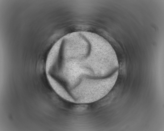 X0000113330474200910131152